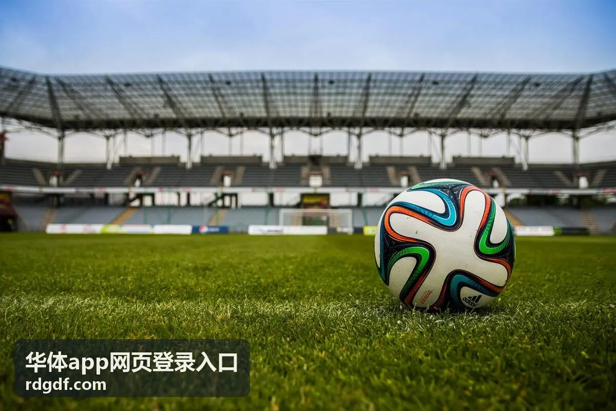 华体app网页登录入口账号与安全设置中的设备管理与登录保护界面示意