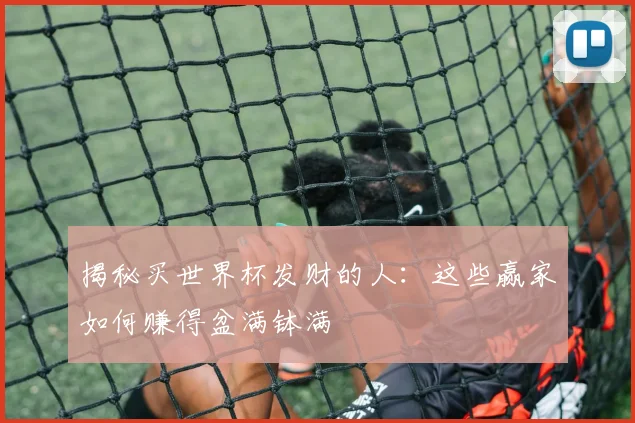 揭秘买世界杯发财的人：这些赢家如何赚得盆满钵满